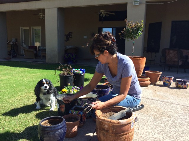 It's That Time Of Year